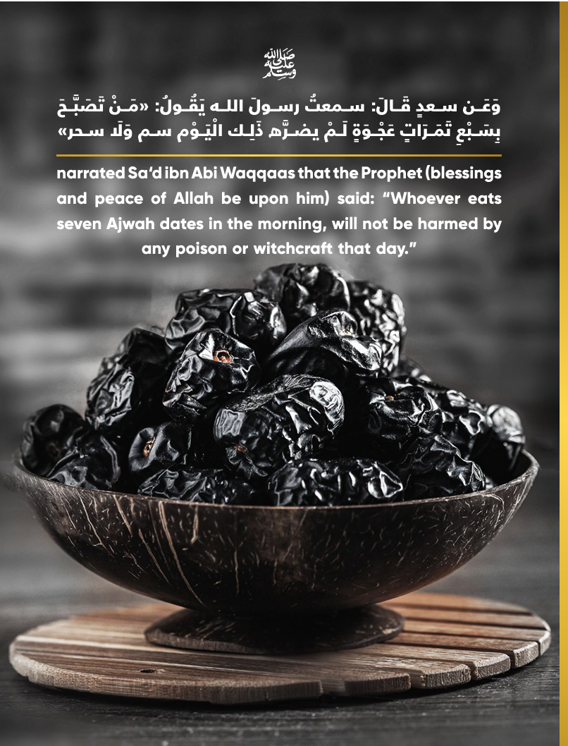 Ajwa Almadina Dates 1000g